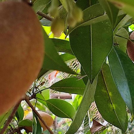 Vivaresidence Homestay Alappuzha Εξωτερικό φωτογραφία