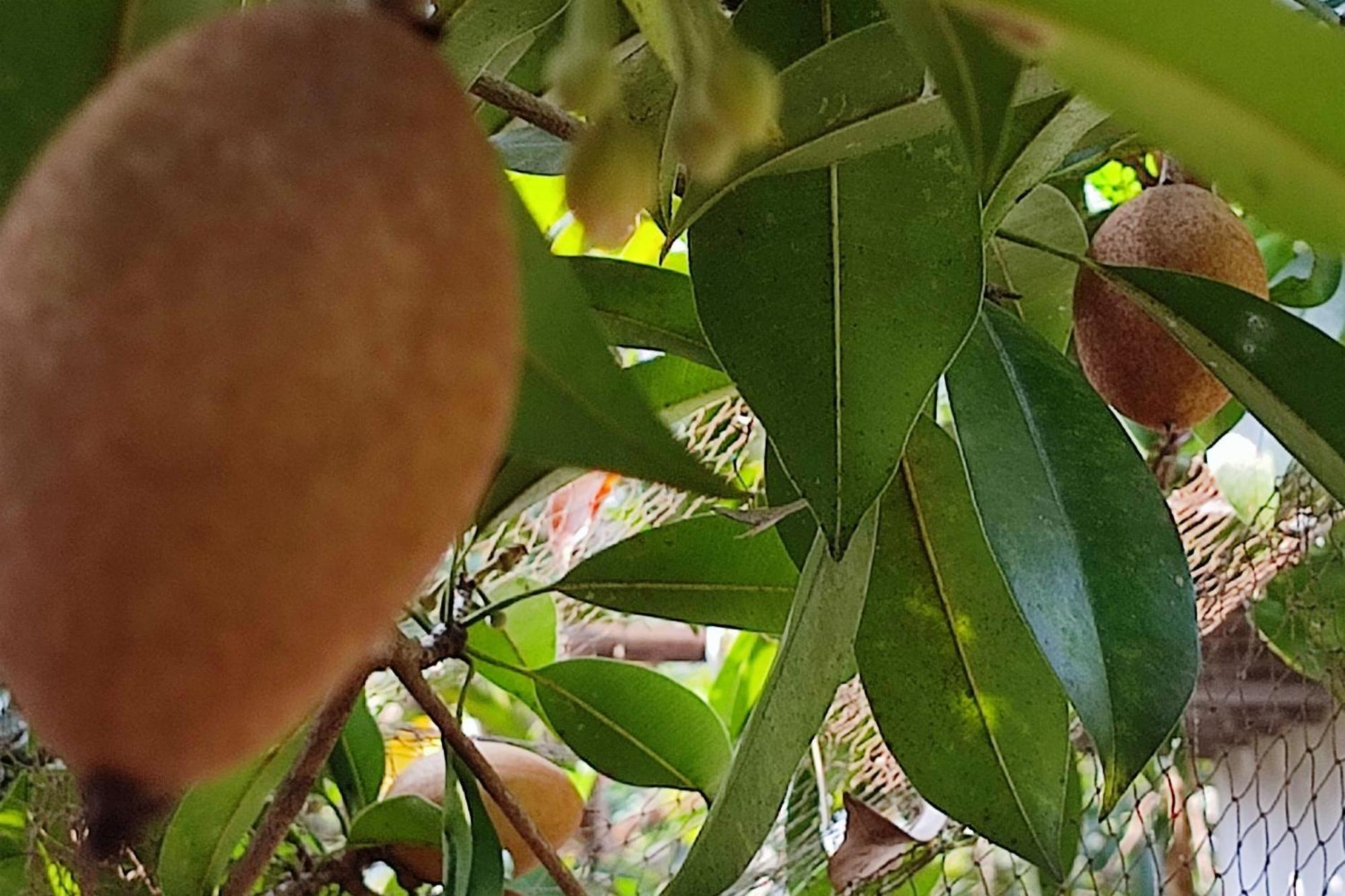 Vivaresidence Homestay Alappuzha Εξωτερικό φωτογραφία