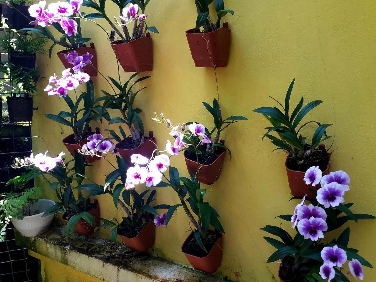 Vivaresidence Homestay Alappuzha Εξωτερικό φωτογραφία