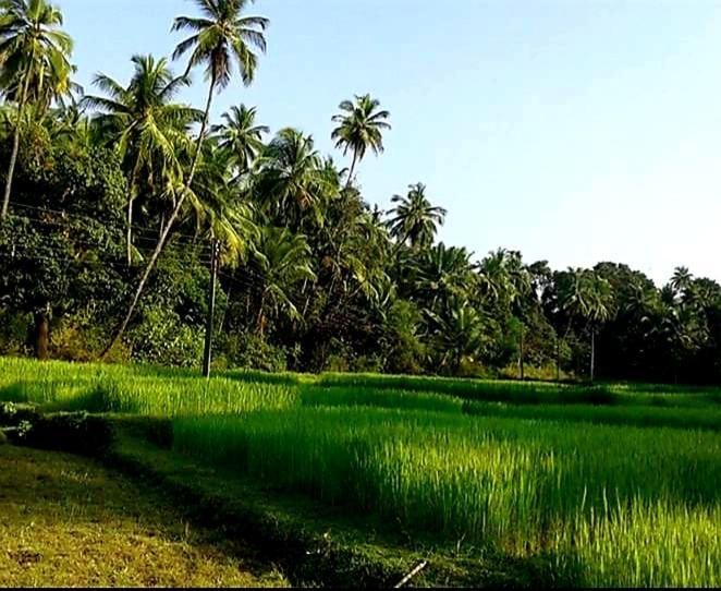 Vivaresidence Homestay Alappuzha Εξωτερικό φωτογραφία